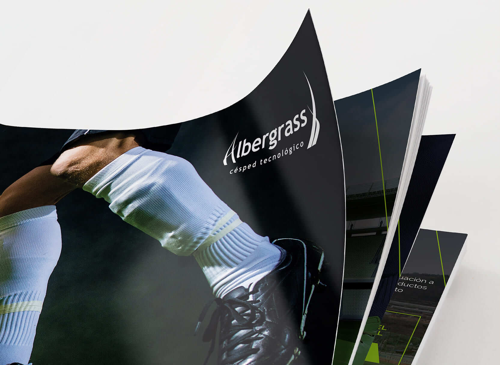 Albergrass-interior02.jpg