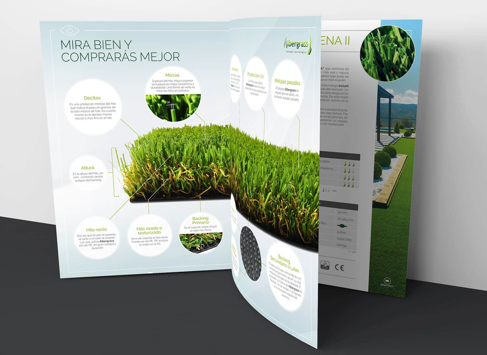 Albergrass-interior03.jpg