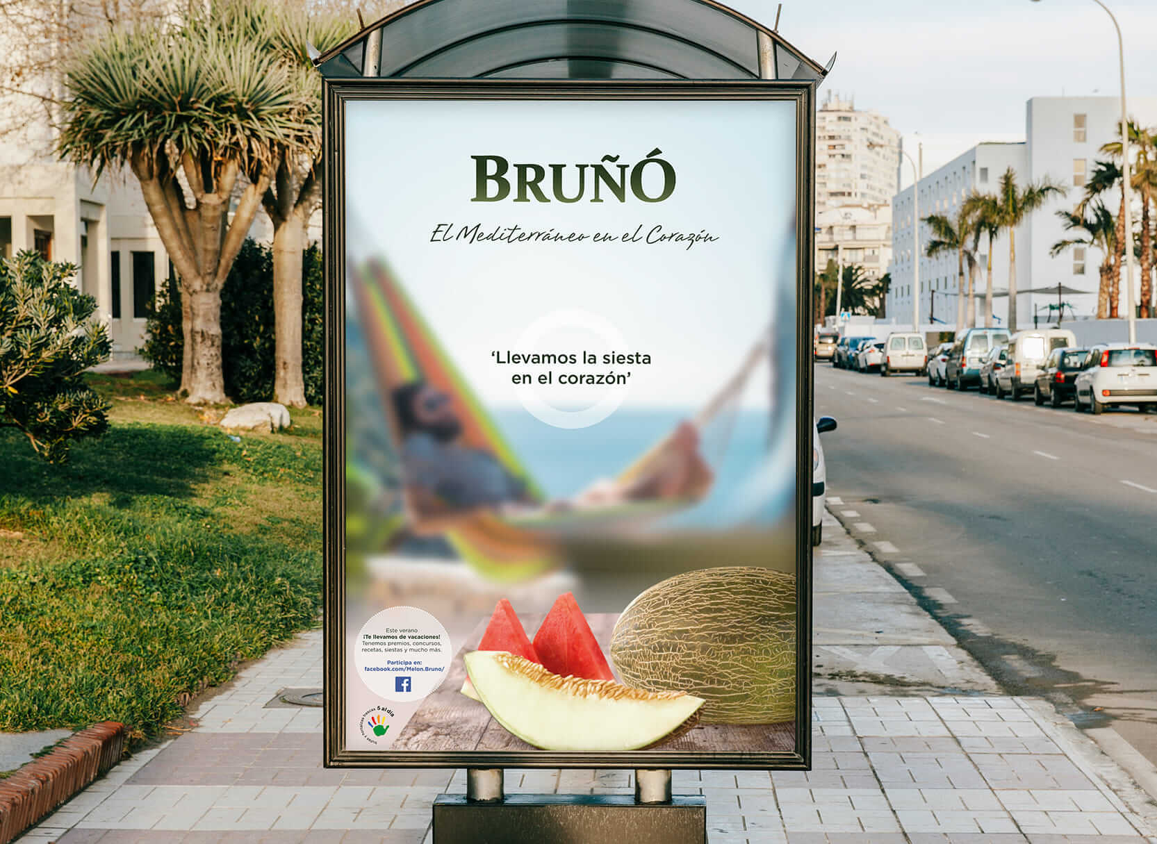 bruño-interior03.jpg