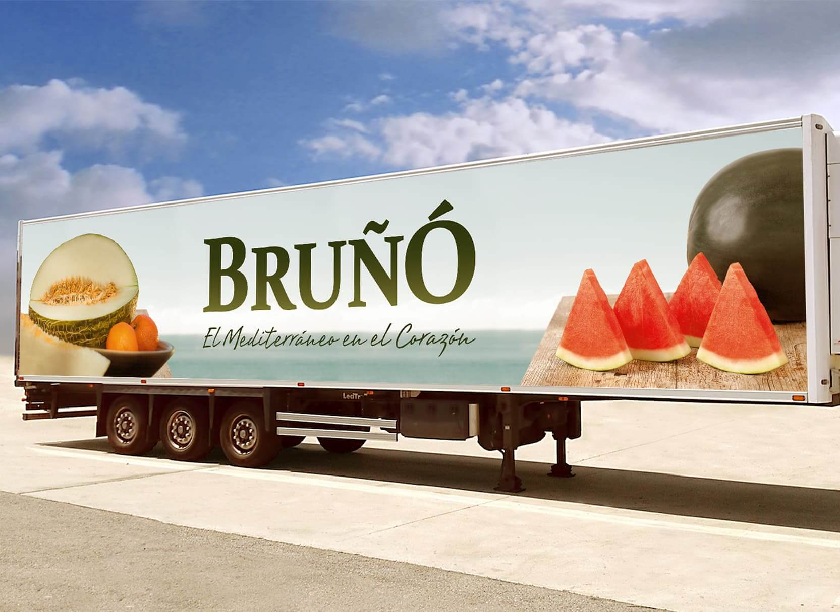 bruño-interior04.jpg